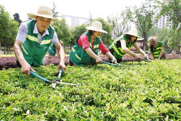 泰安哪里考園林綠化工多少錢詳細流程解讀