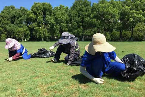 濟寧報名園林綠化工需要多少錢