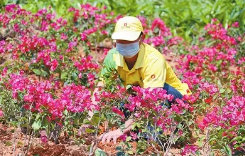 綠化工在哪里考取