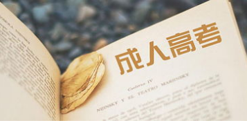 合肥市2021正規(guī)考取挖掘機(jī)
