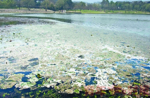 福州污水處理工報名